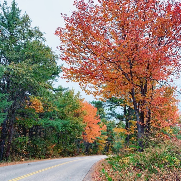 Oh, Hey There! ππΌ - Picture 3 of 10